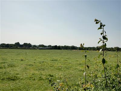 Picture 17